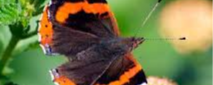 Test AP26_164144