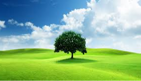 test image uplaod  DE25_122927