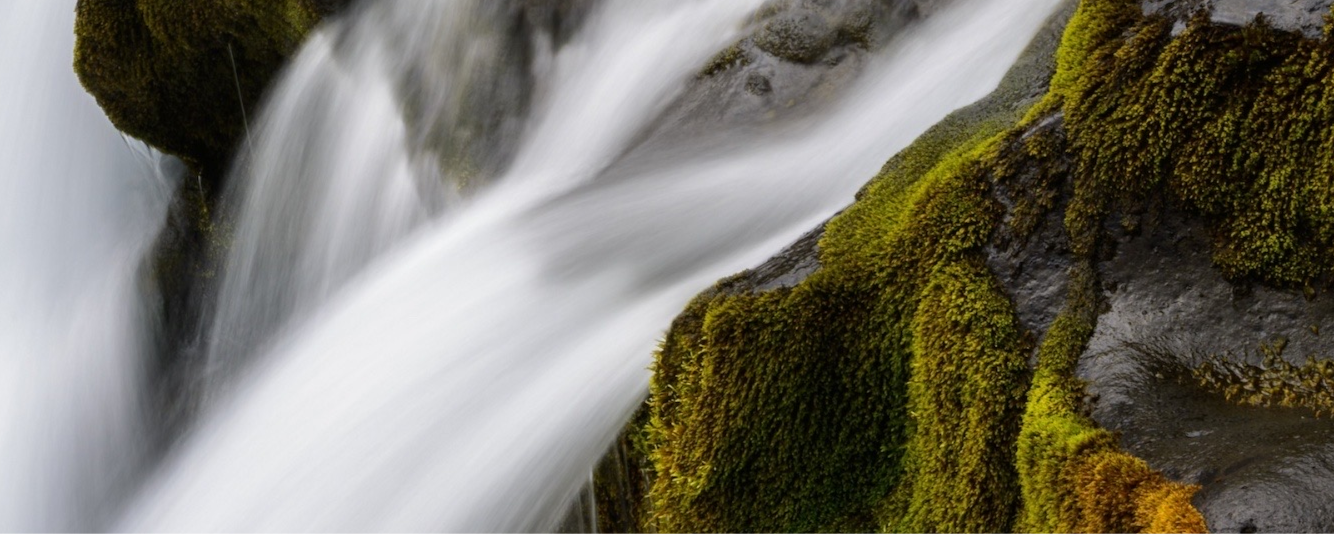 test new course FE26_144336