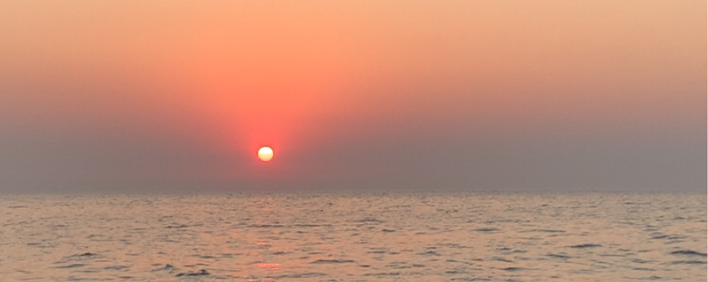 test thumbnail JA26_152939