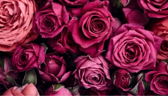 Kat's Test Course  OC25_092314